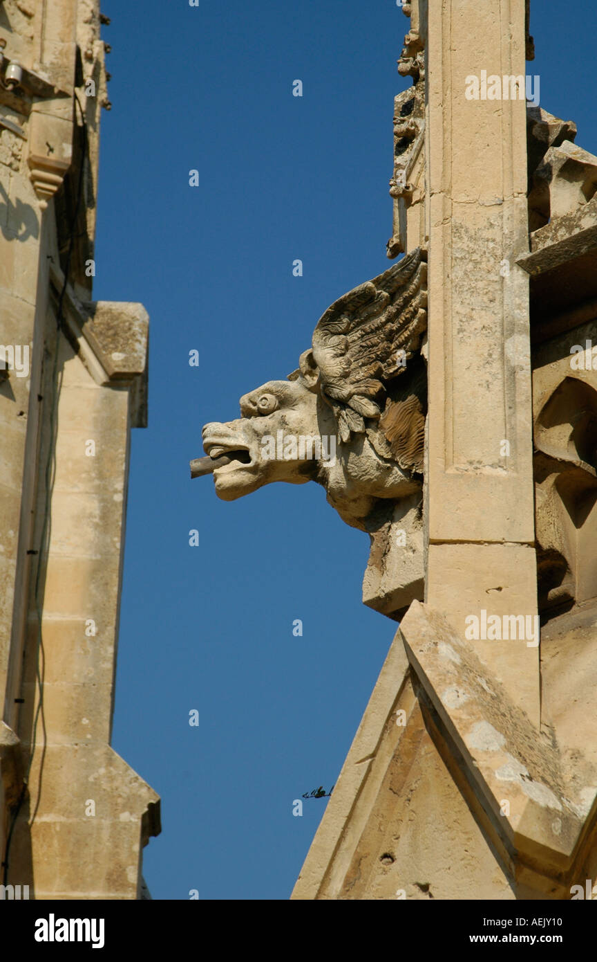 Neo Gothic gargoyle at the Addolorata Cemetery a state owned neo-gothic cemetery located in Paola a town in the South Eastern Region of Malta. Stock Photo