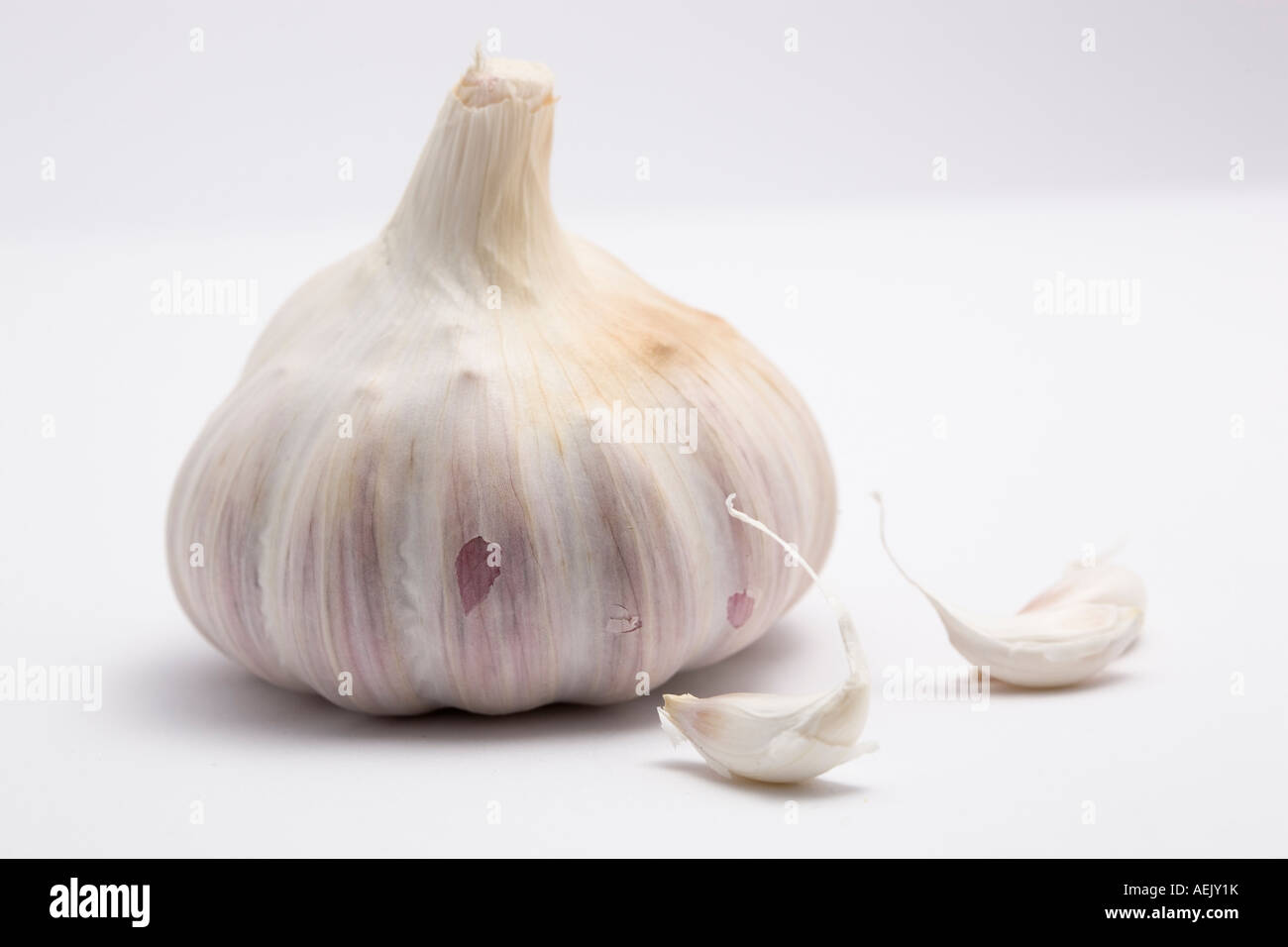 Garlic (Allium sativum) Stock Photo