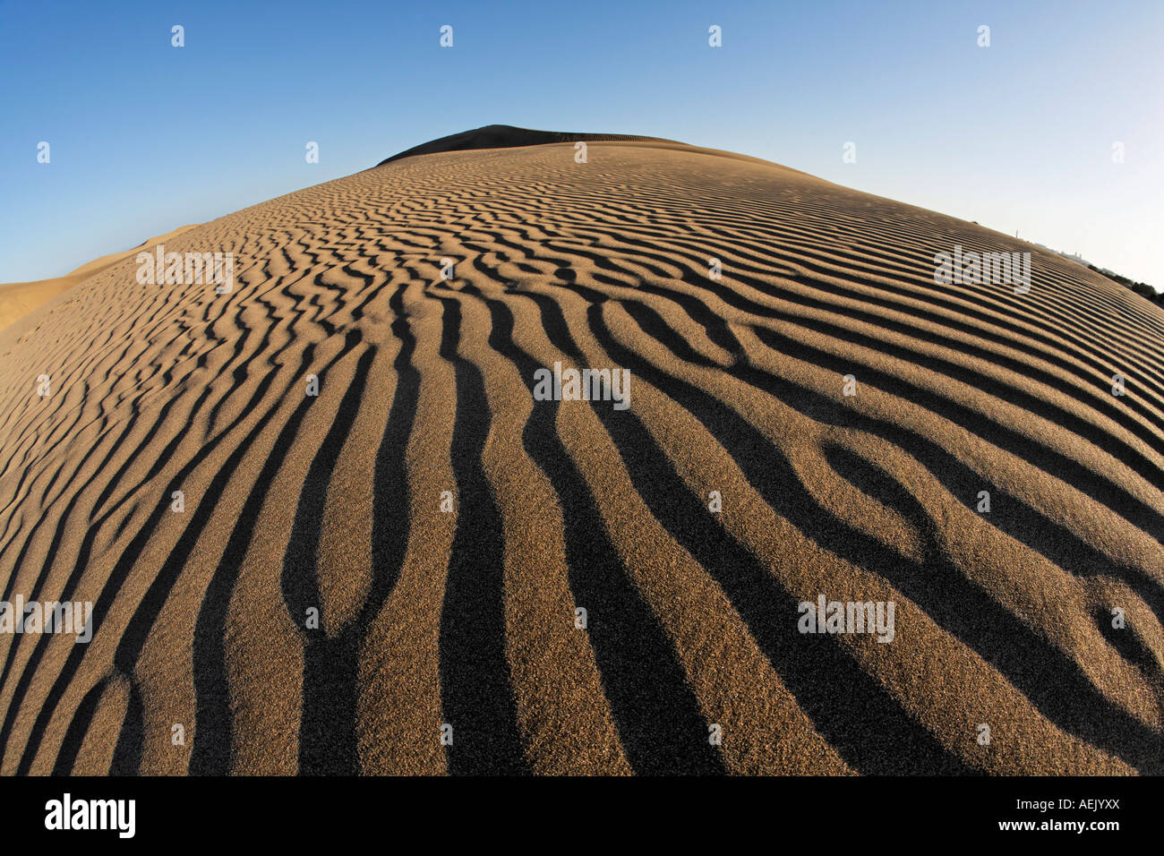 Ripple, sand dunes, Maspalomas, Gran Canaria, Spain Stock Photo