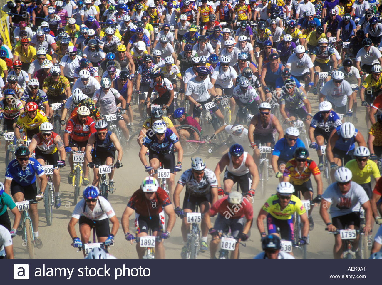 cactus cup mountain bike race