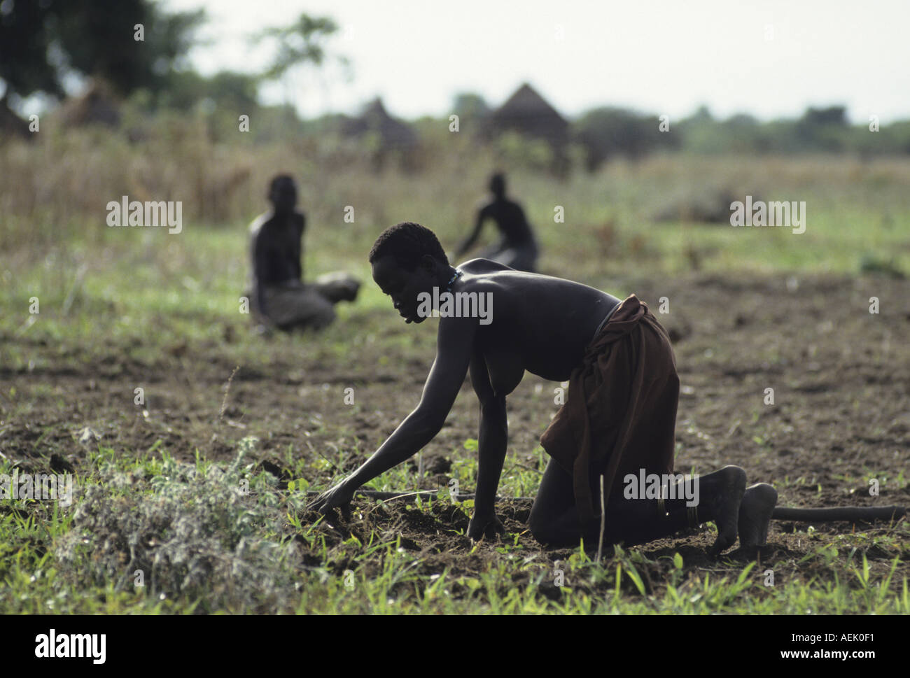 Forced perception hi-res stock photography and images - Alamy