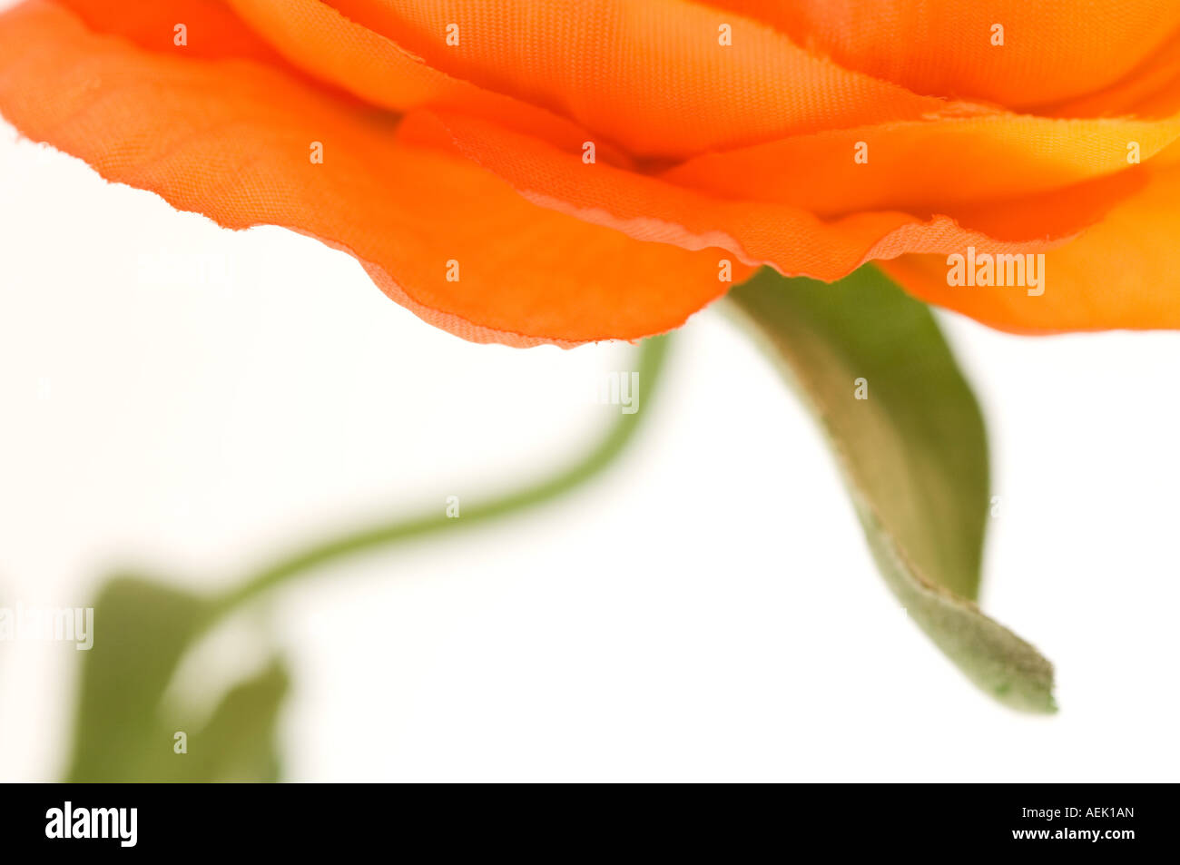 Artificial Flower. Detail from dummy bloom of milled cloth Stock Photo