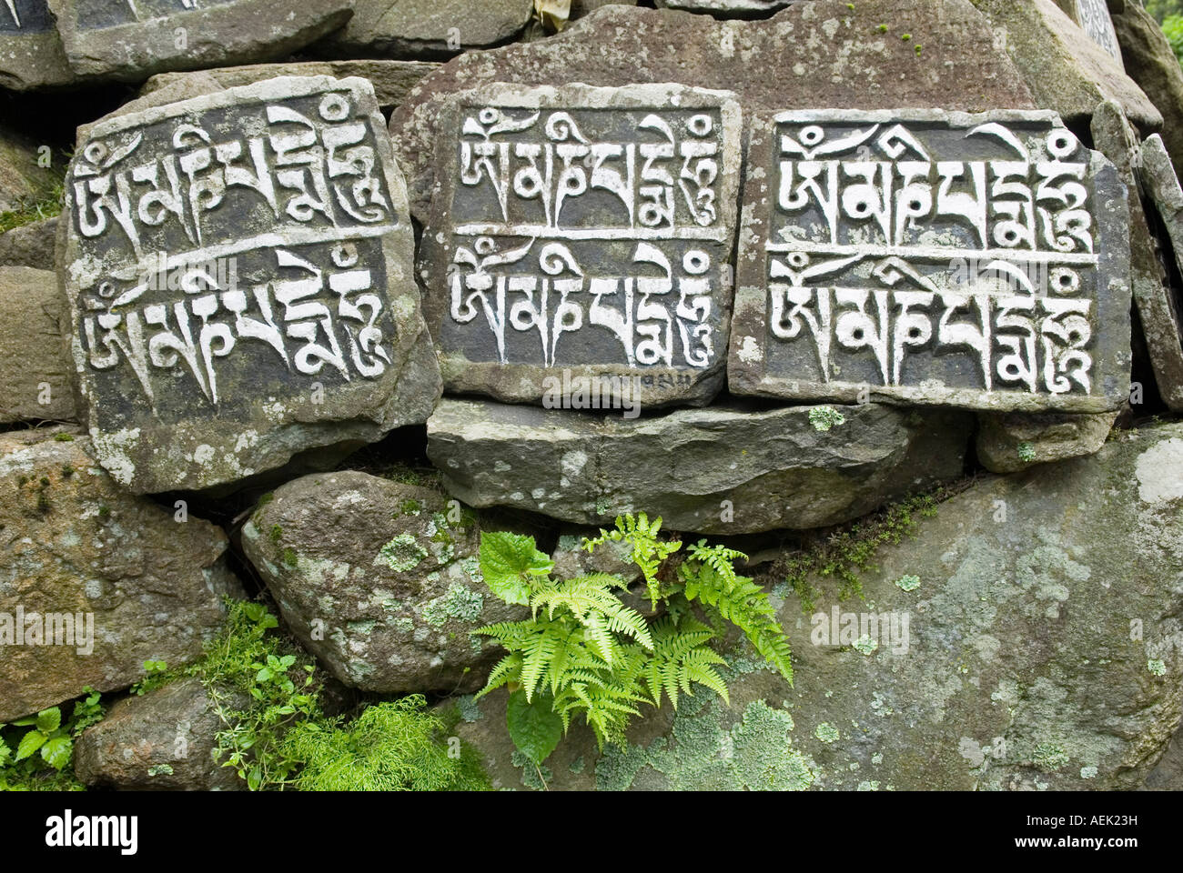 Mani wall, Mani stone, Dudh Kosi valley, Solukhumbu, Khumbu, Sagarmatha National Park, Nepal Stock Photo