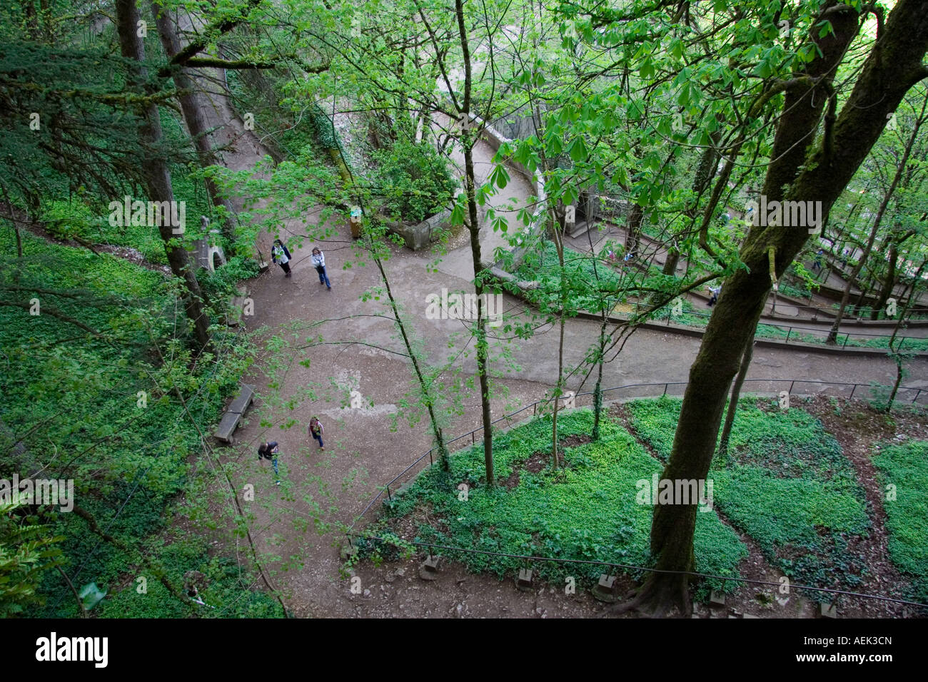 Wooded path in Rockador France Stock Photo