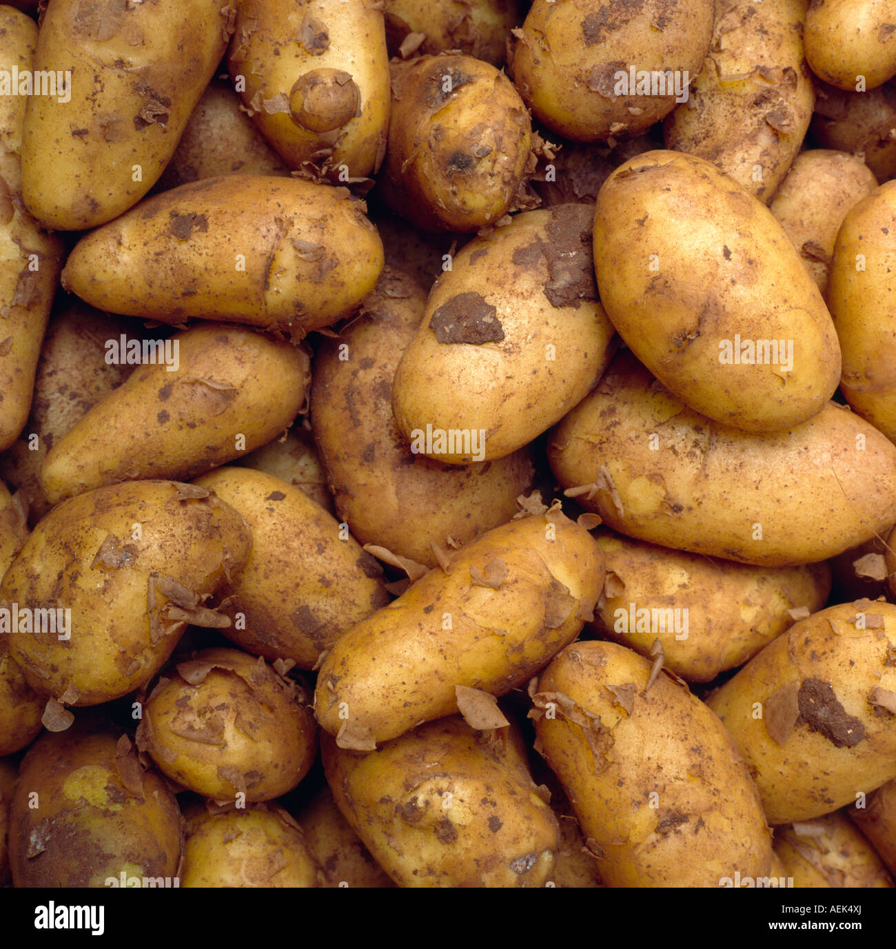 Kartoffel erde hi-res stock photography and images - Alamy