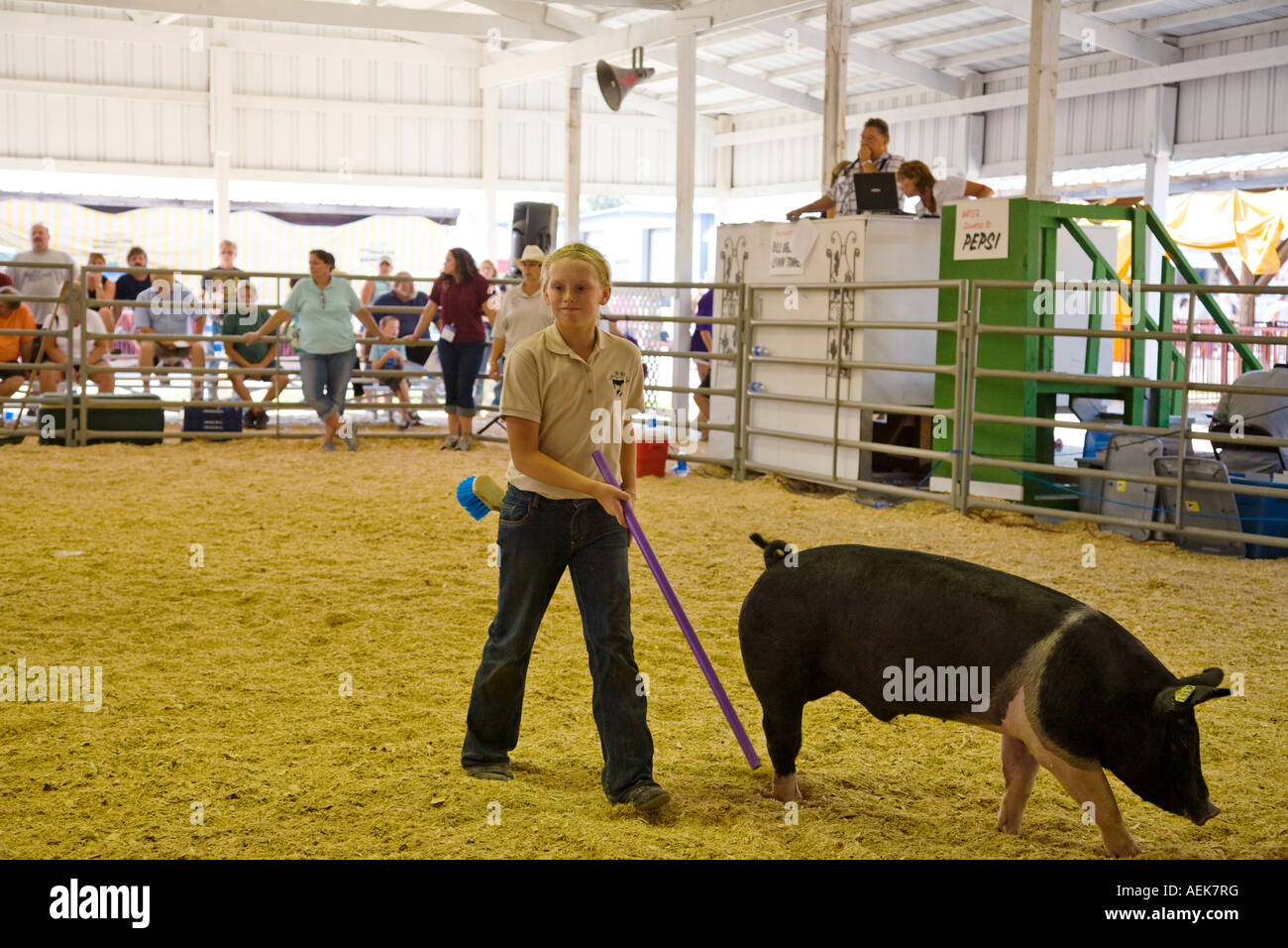 Livestock auction usa hires stock photography and images Alamy