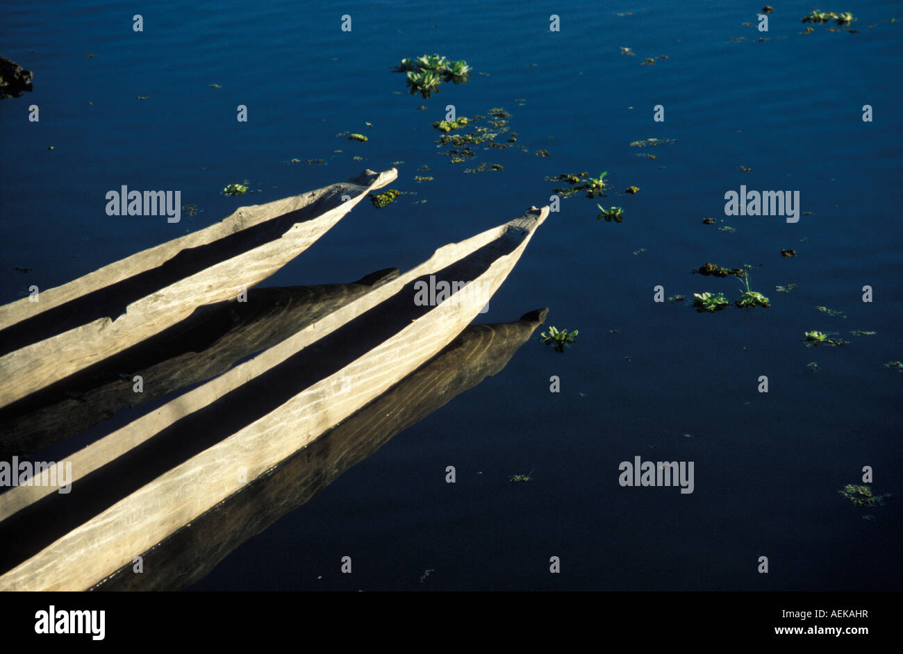 Canoes on the Sepik River Papua New Guinea Stock Photo