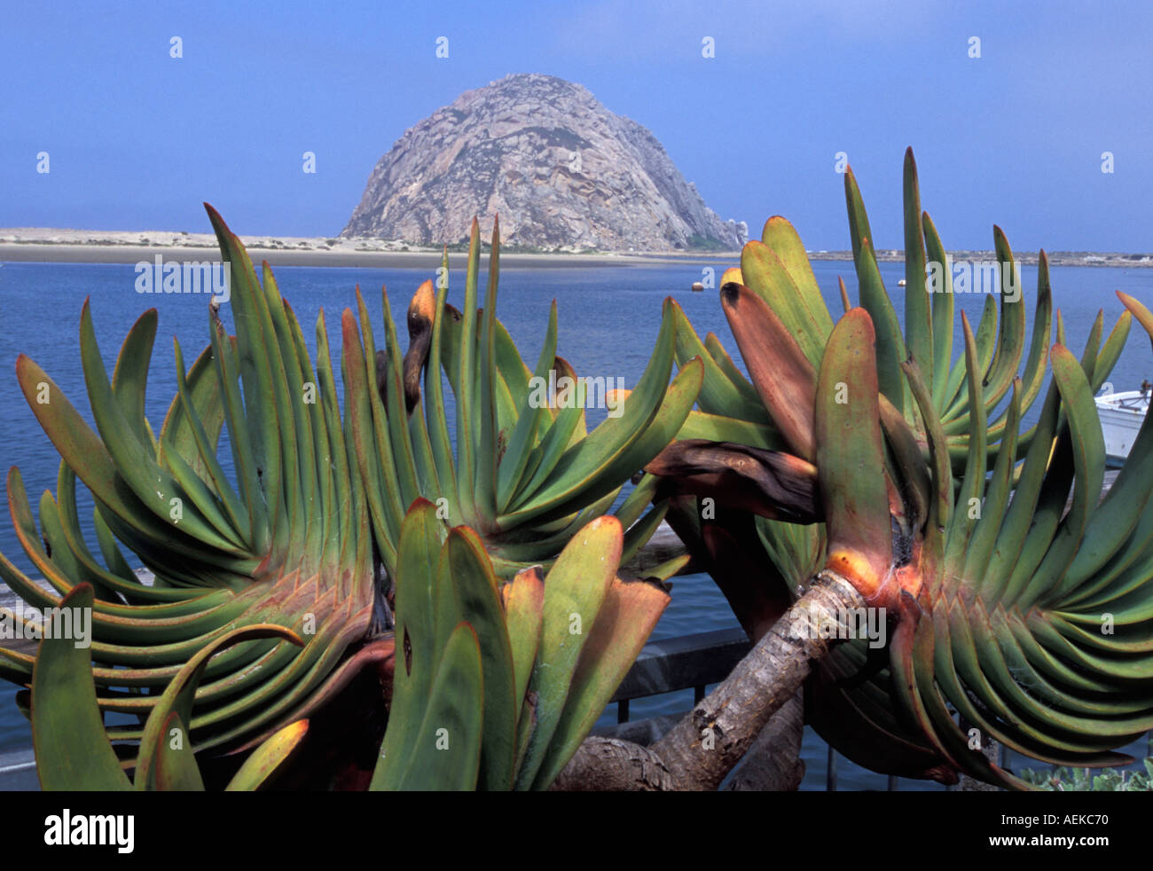morro rock in morro bay