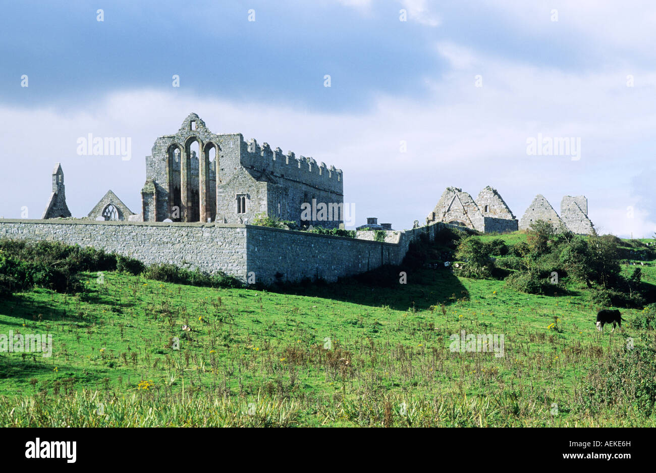 St brendans hires stock photography and images Alamy