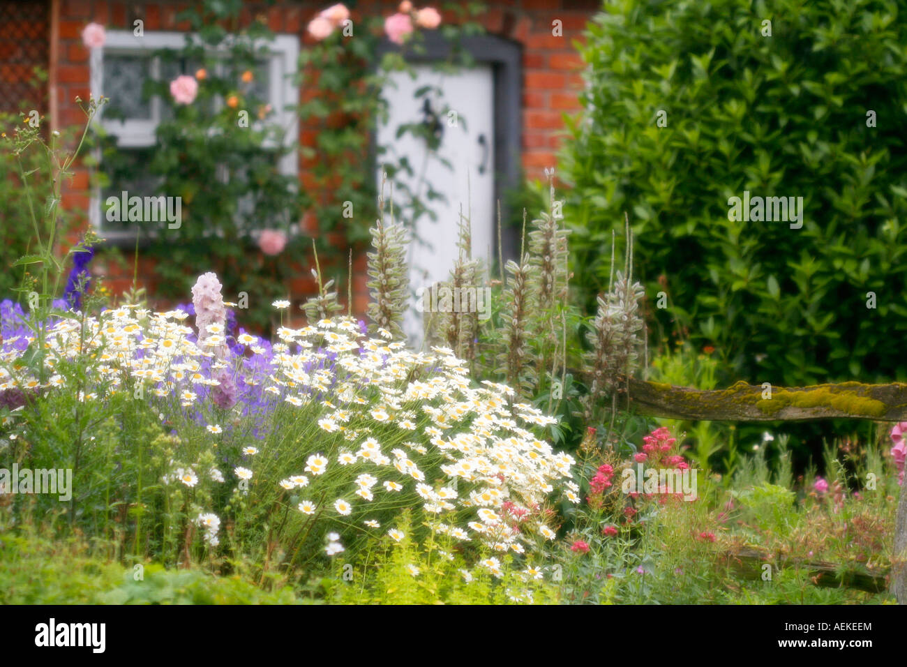 Cottage Garden in soft focus Stock Photo