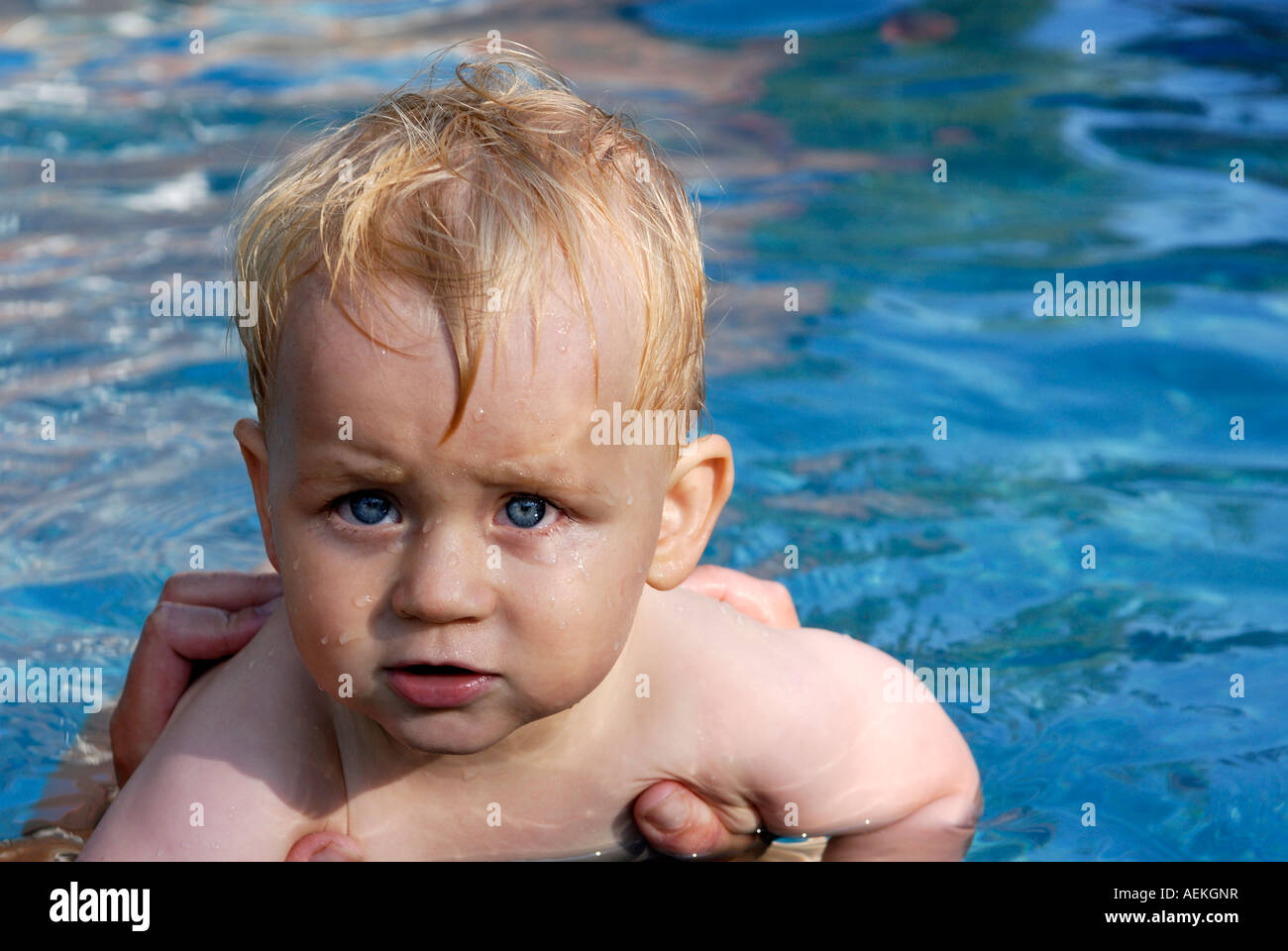 Baby boy in swimming pool Stock Photo Alamy