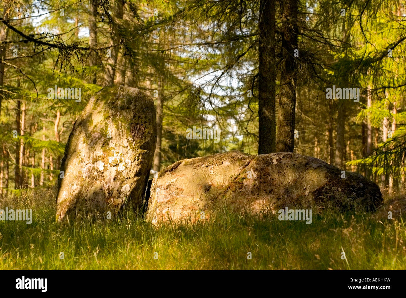 A forest clearing showing some of the Nine Stanes Banchory Scotland August 2007 Stock Photo