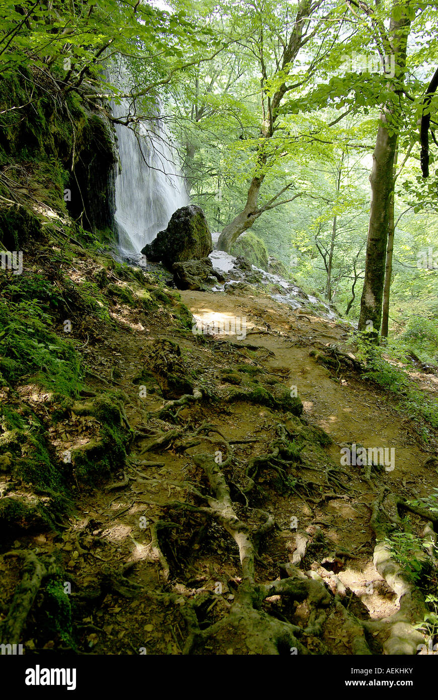 waterfall Stock Photo