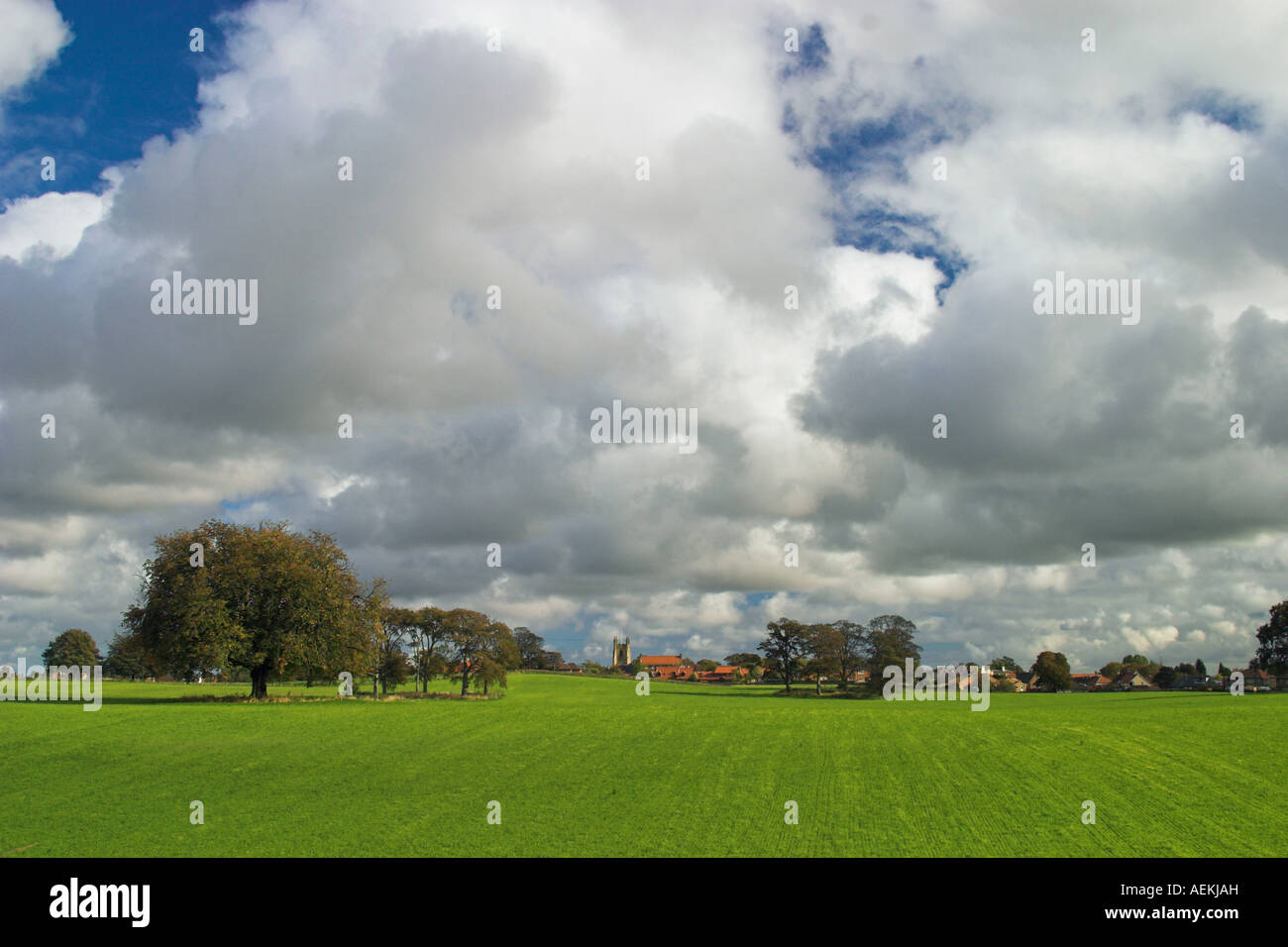 Rural England Sedgefield Stock Photo