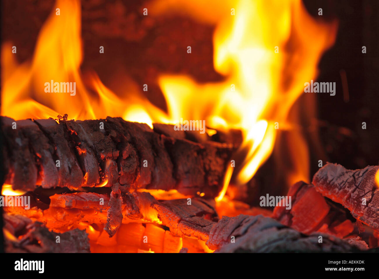 Burning wood. Stock Photo