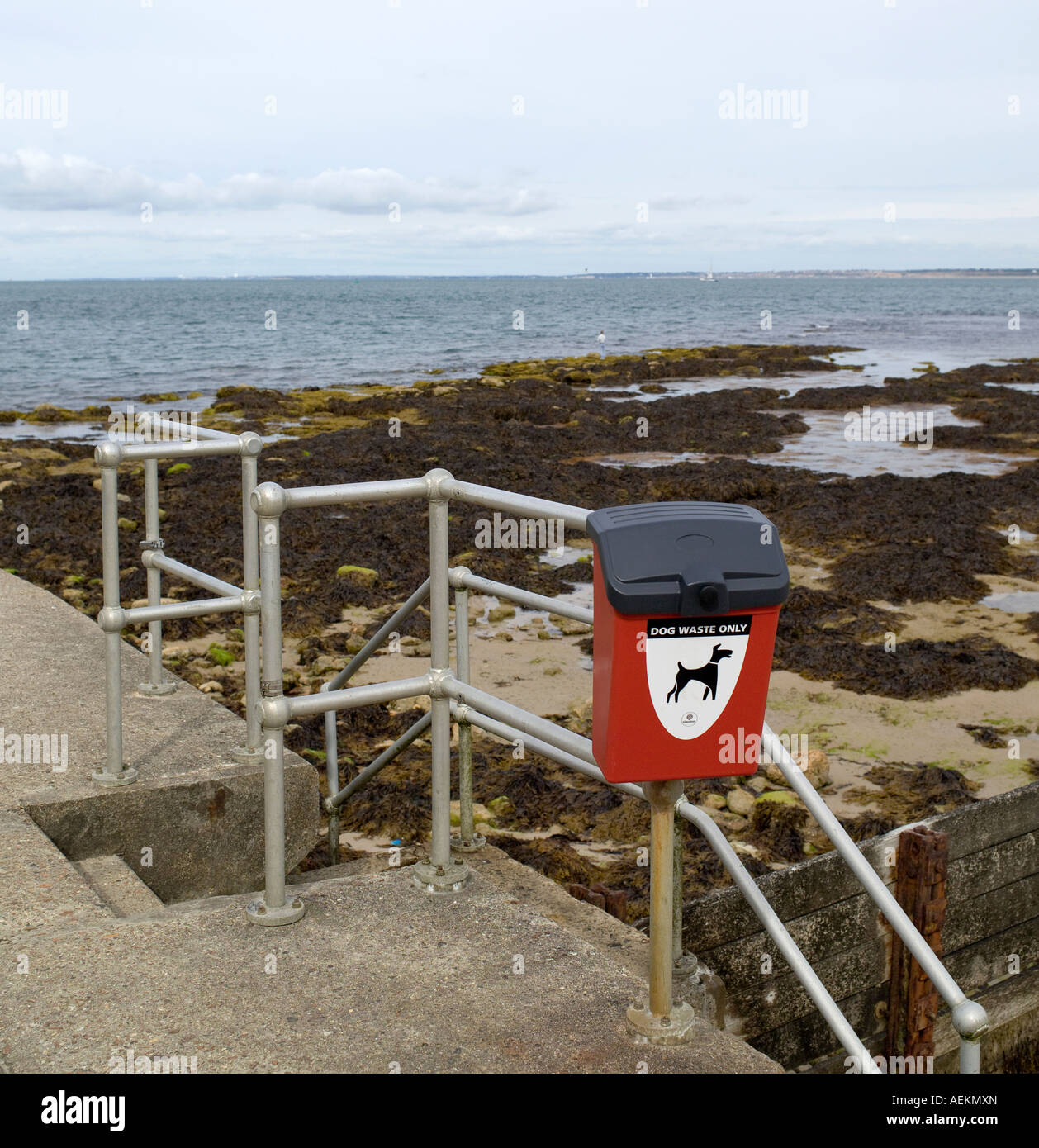 Dog waste Bin, Isle of Wight Stock Photo Alamy