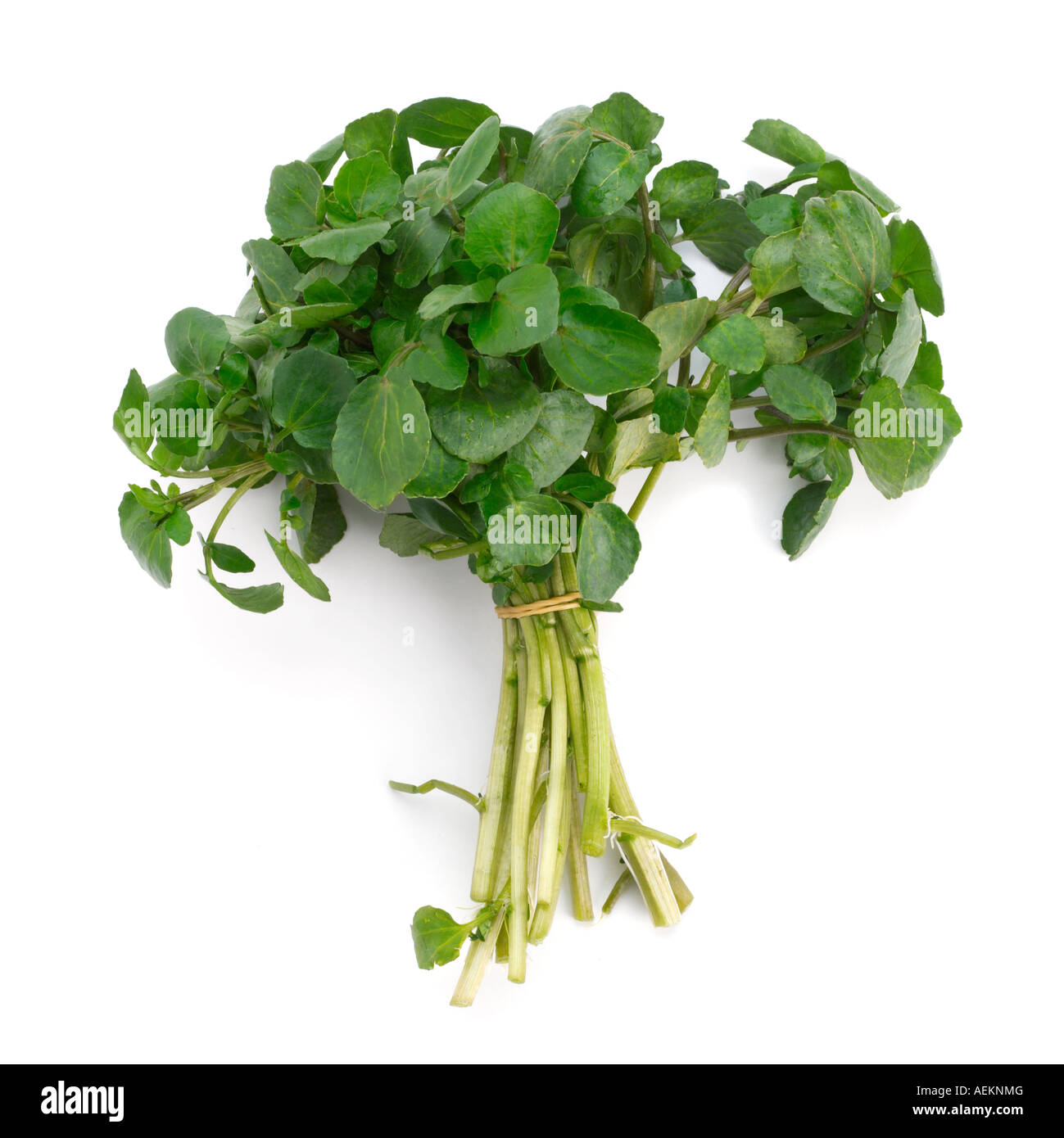 Water cress hi-res stock photography and images - Alamy