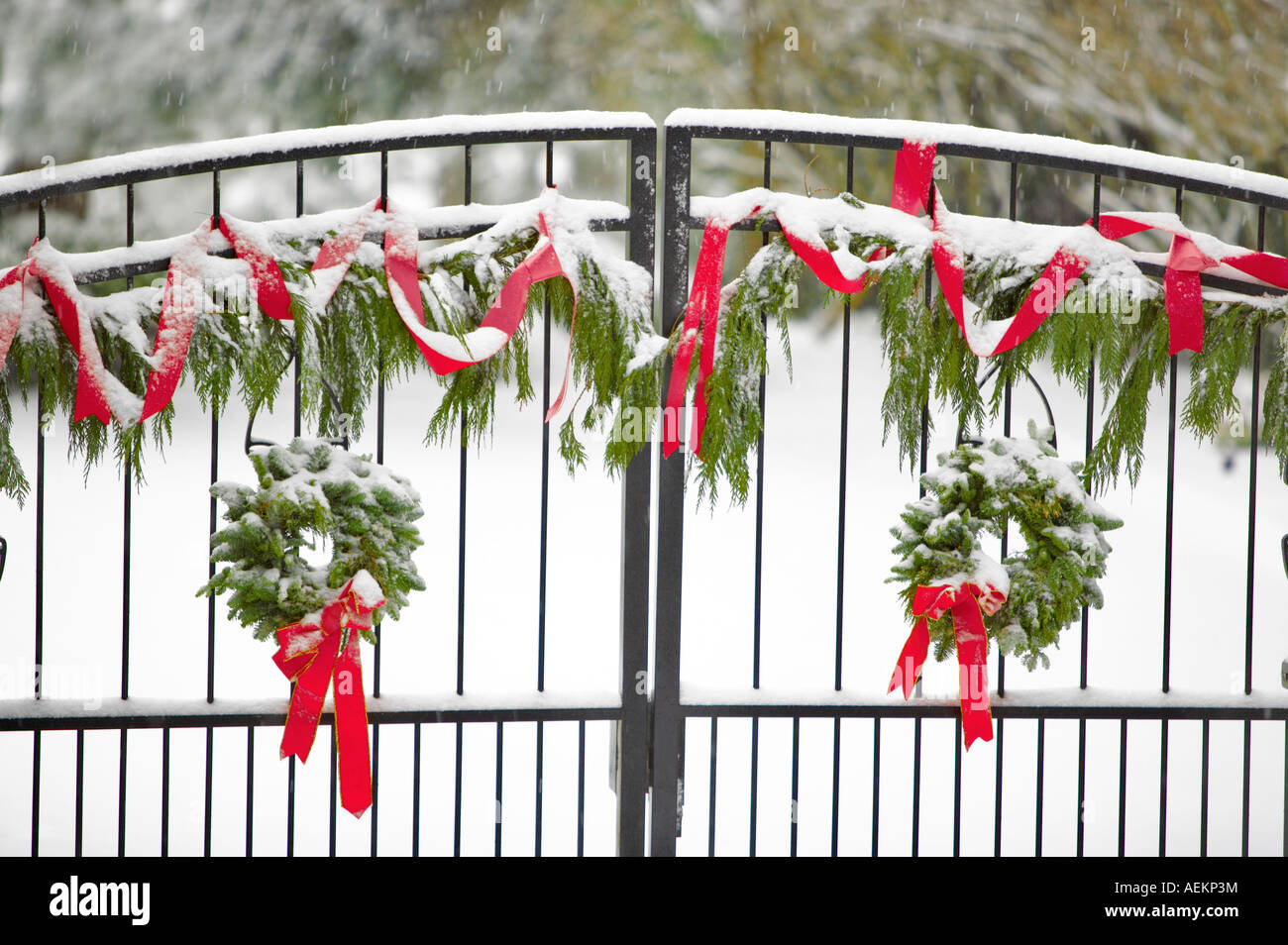 Gate with Christmas wreaths and decorations Stock Photo
