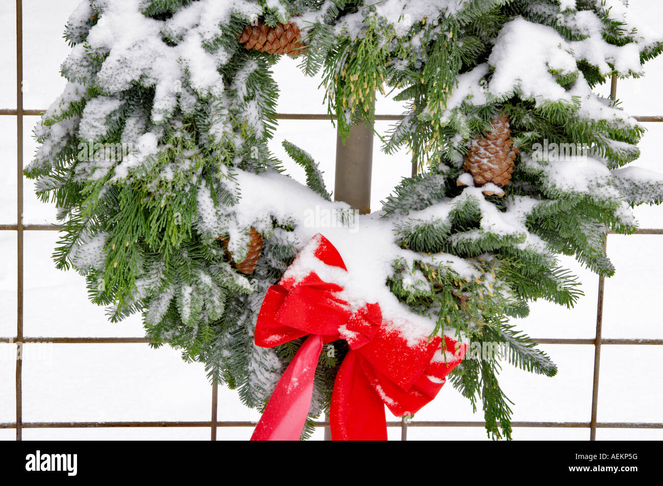 Gate with Christmas wreaths and decorations Stock Photo