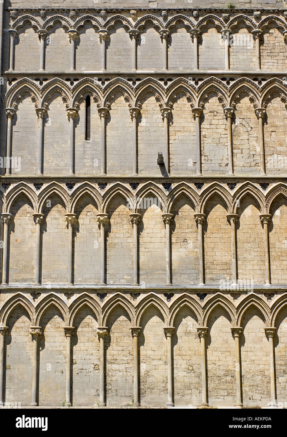 Ely Cathedral Galilee Porch Stock Photo Alamy