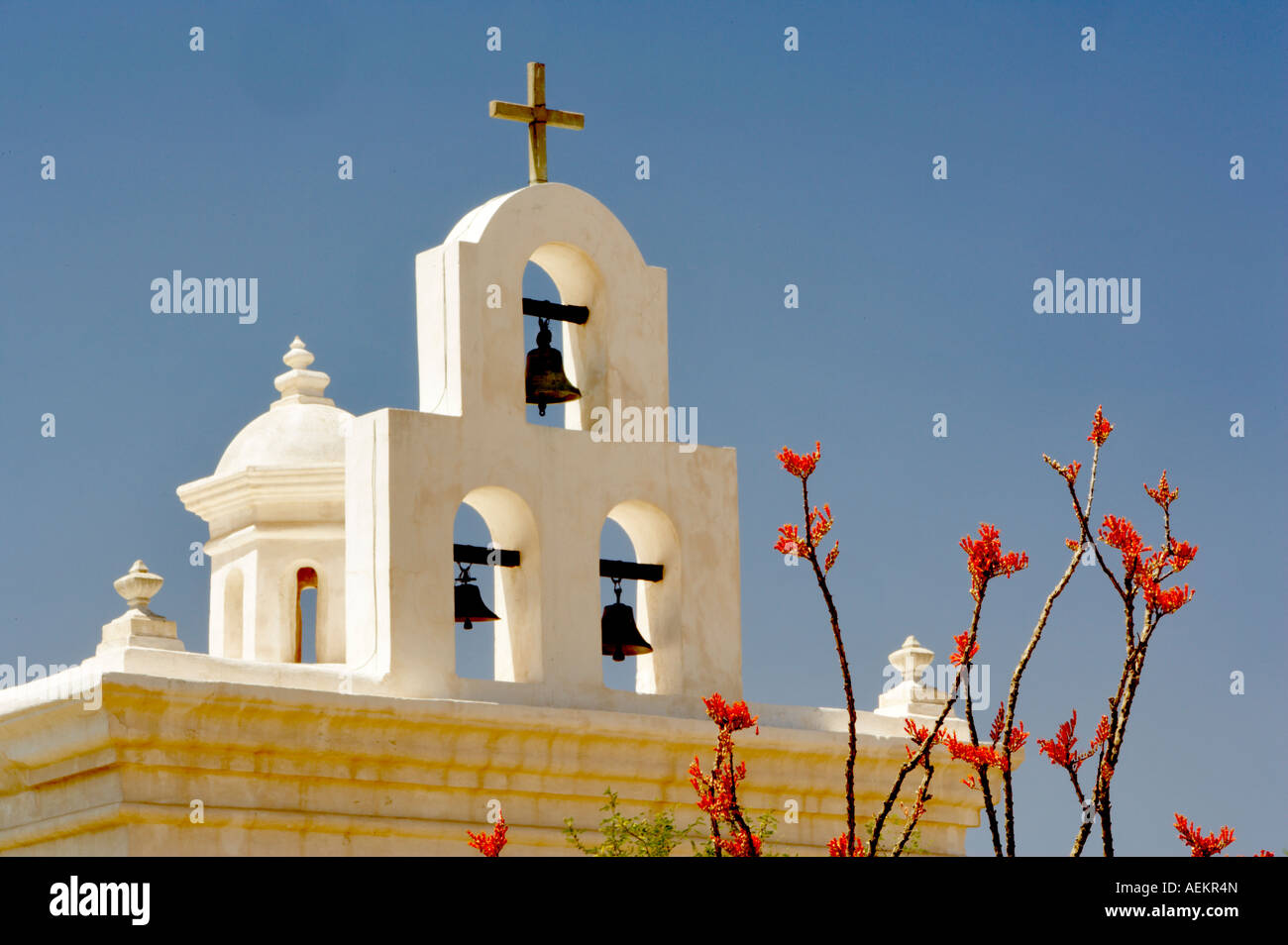 Mission San Xavier del Bac chapel with ocotillo blooming Arizona Stock Photo