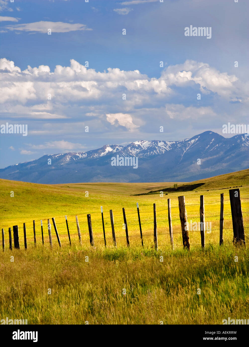 Oregon Prairie Pasture in Zumwalt Prairie with fence and Wallowa Mountains Oregon ...
