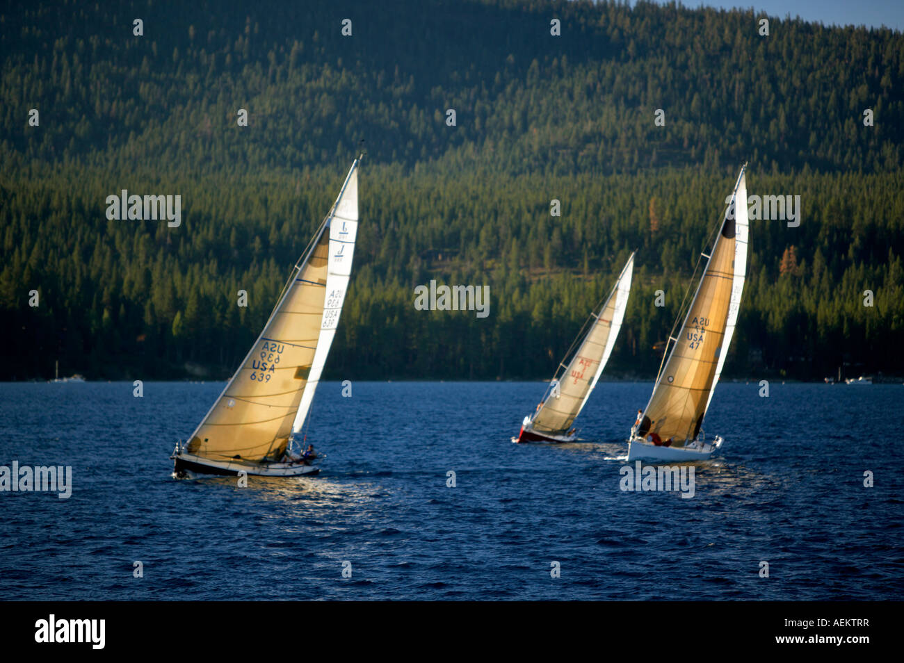 Sailboats in race Lake Tahoe California Stock Photo