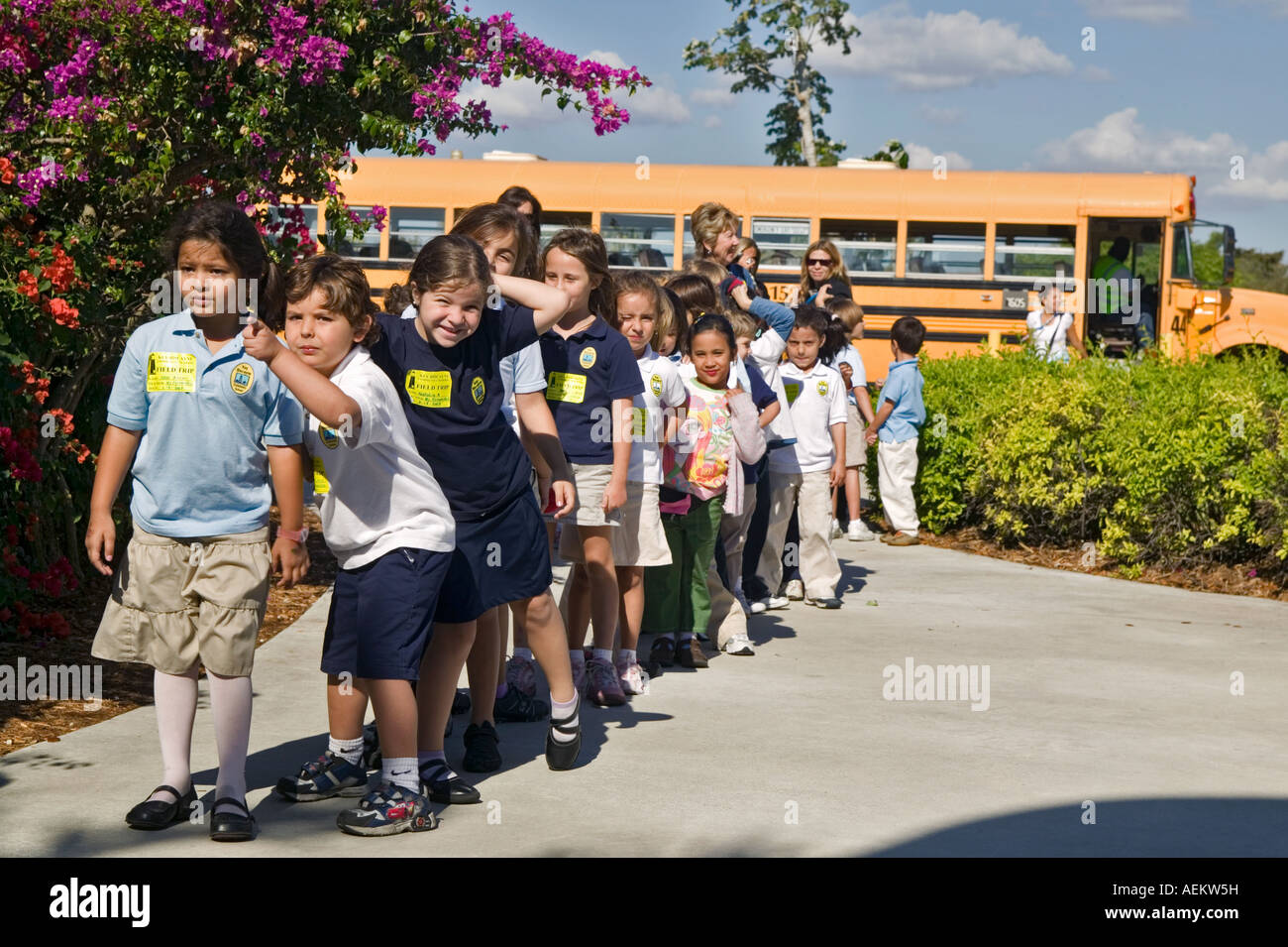 School
