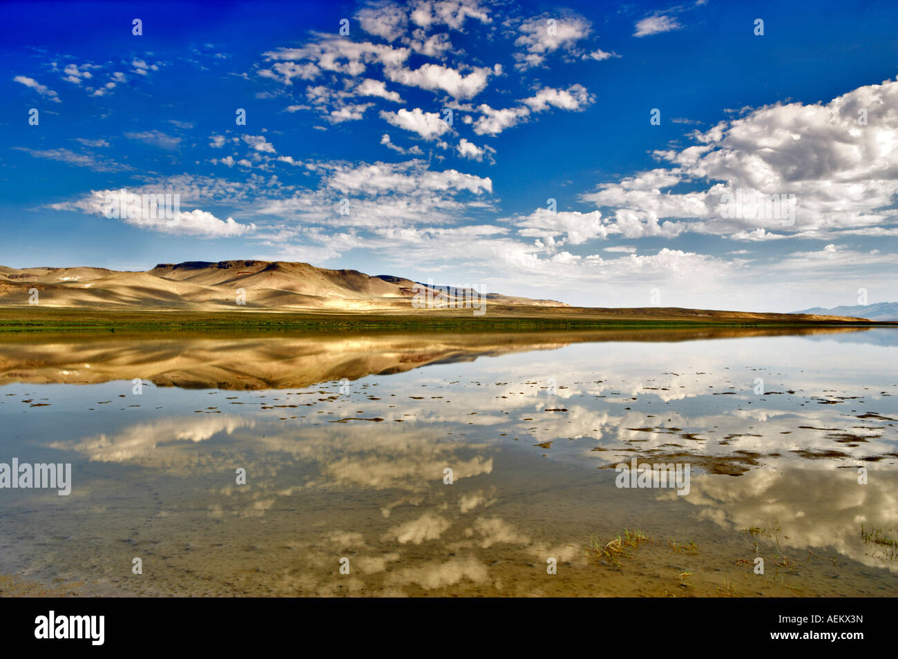 Gridley hires stock photography and images Alamy