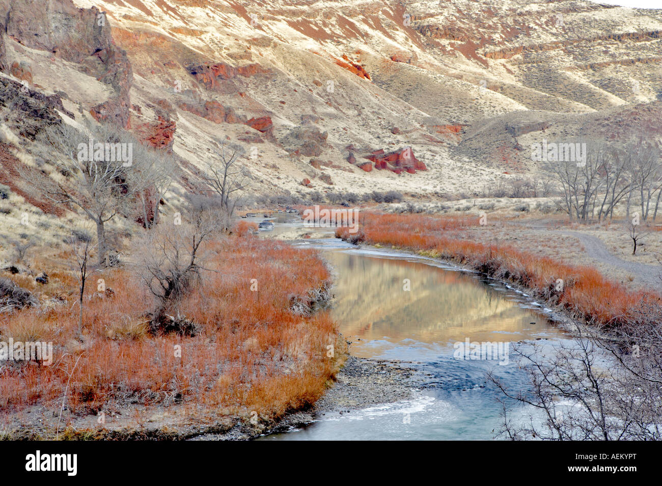 Red Willow in winter on Owyhee River Oregon Stock Photo