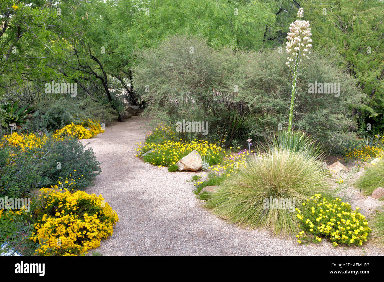 Pathway in Tucson Botanical Gardens Tucson Arizona Stock Photo Alamy