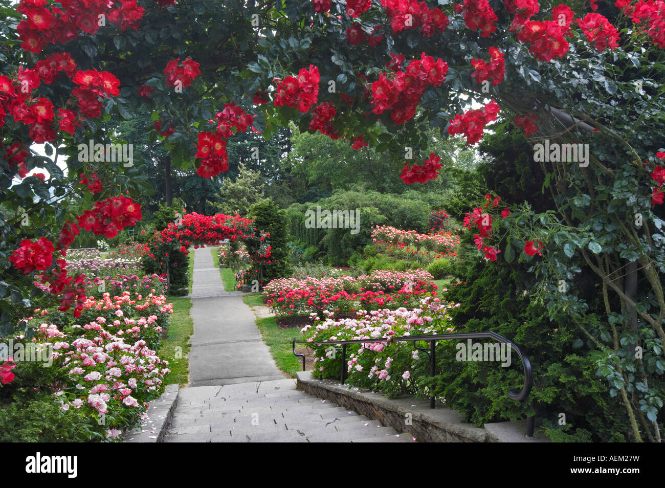 Rose archway and path Portland Rose Test Garden Oregon Stock Photo