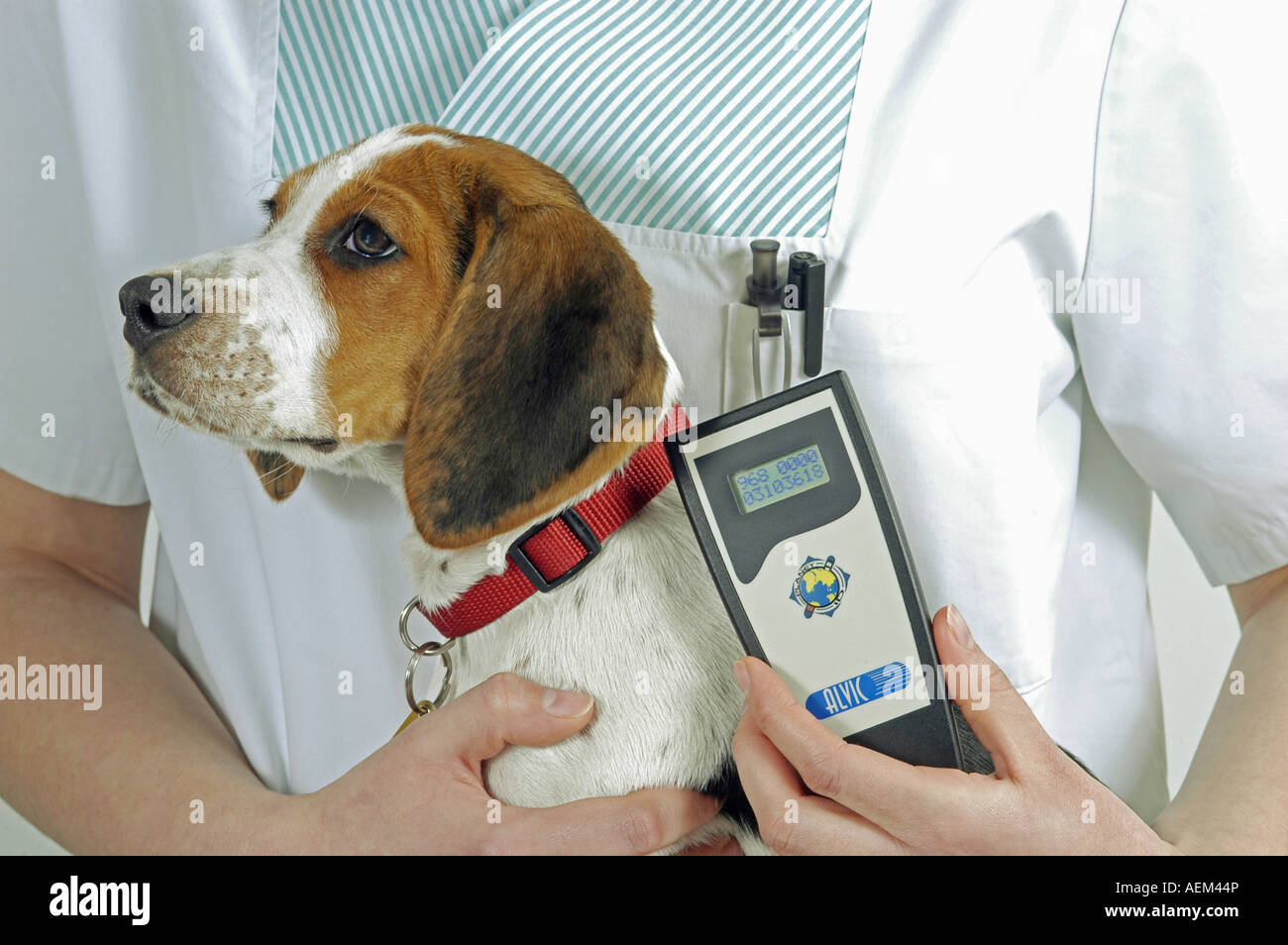 How Do You Find A Dog With A Chip