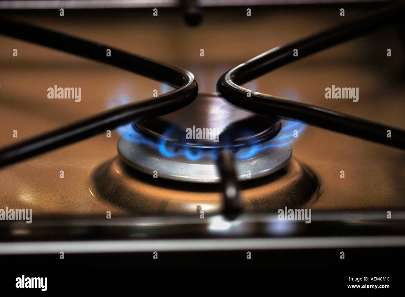 Gas Cooker Flame Stock Photo Alamy