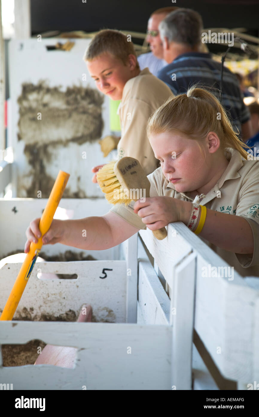 Livestock auction usa hires stock photography and images Alamy