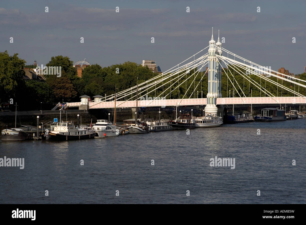 Albert Bridge River Thames London England Stock Photo - Alamy