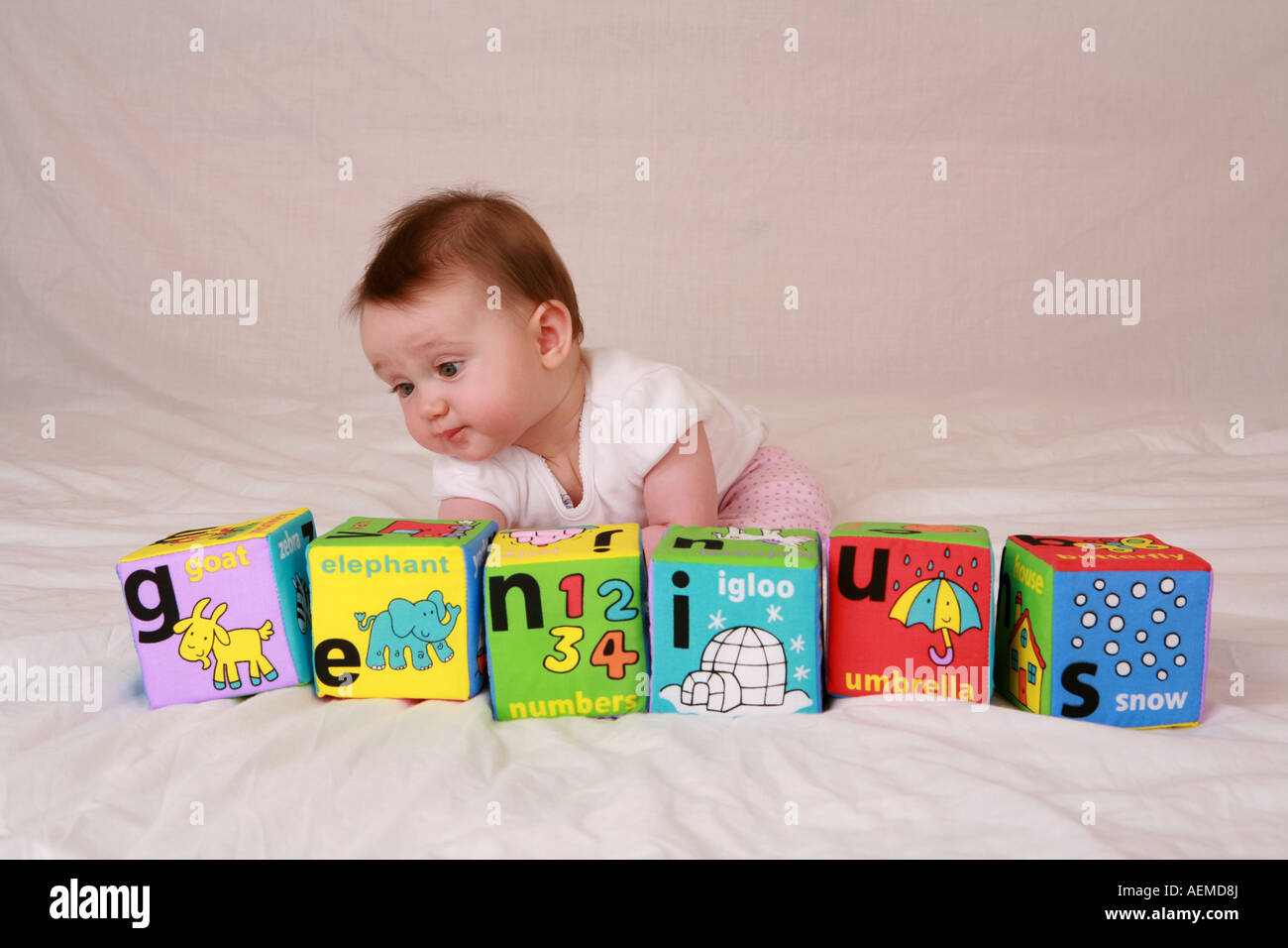 Adorable Baby Einstein Smart Infant Playing With Word Block Toys Spelling Out Word Genius From Letters Intelligent Gifted Young Stock Photo Alamy