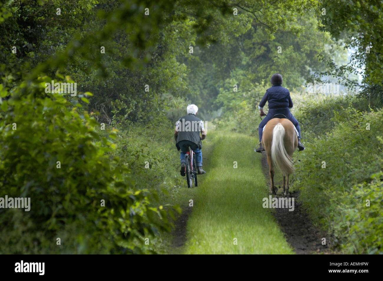 Riding horse country lane hi-res stock photography and images - Alamy
