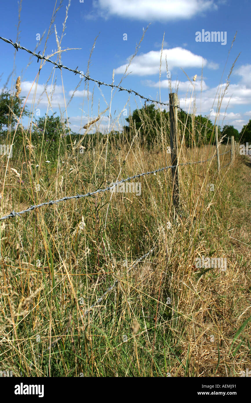 Weeds farm summer hi-res stock photography and images - Alamy