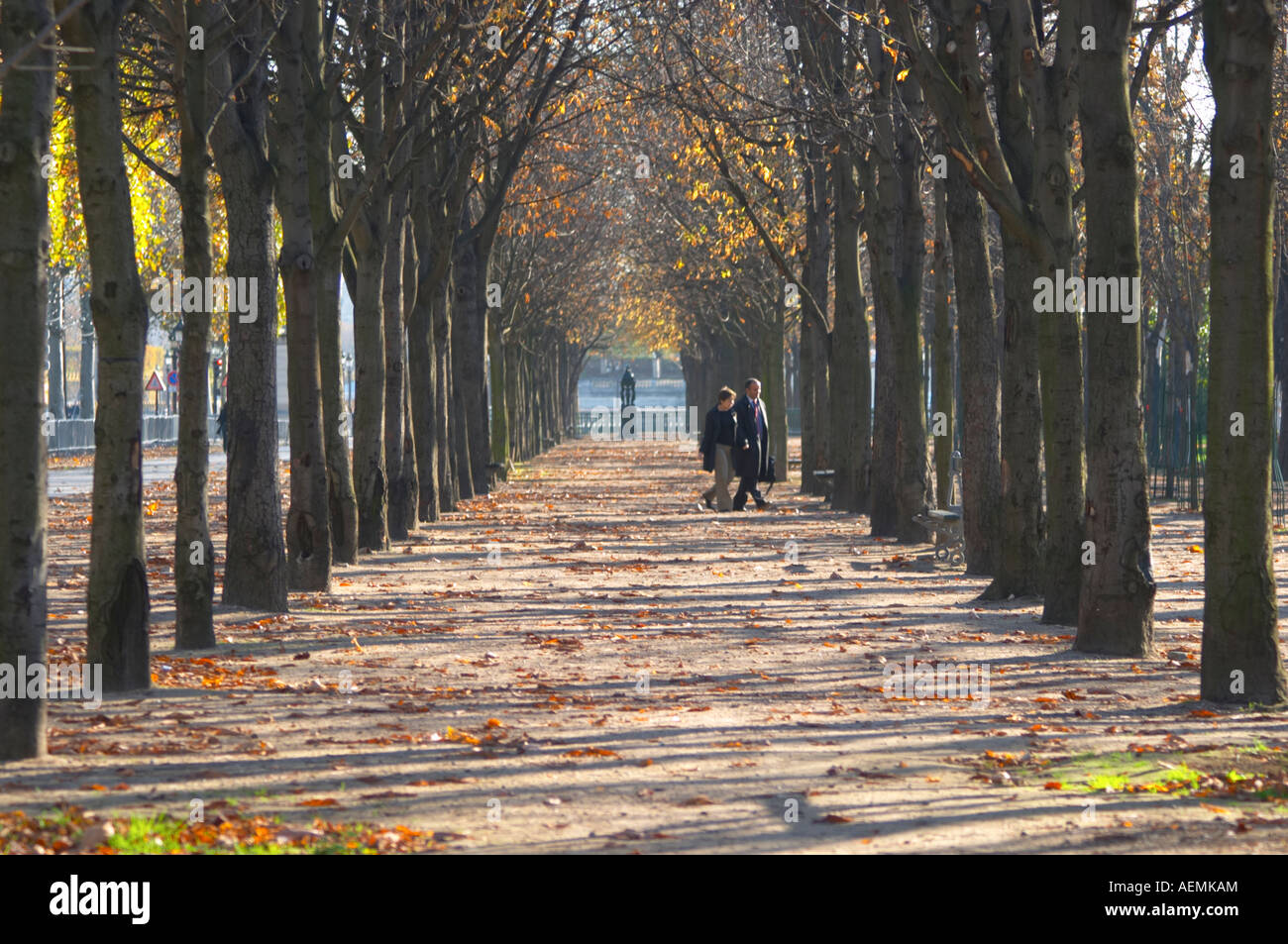 Along the Les Champs Elysees street park, tree lined allee, a couple walking in autumn Paris, France. Stock Photo