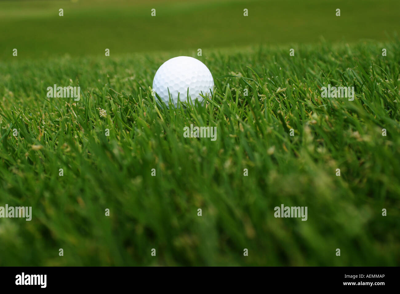 Golf ball on a golf course Stock Photo Alamy