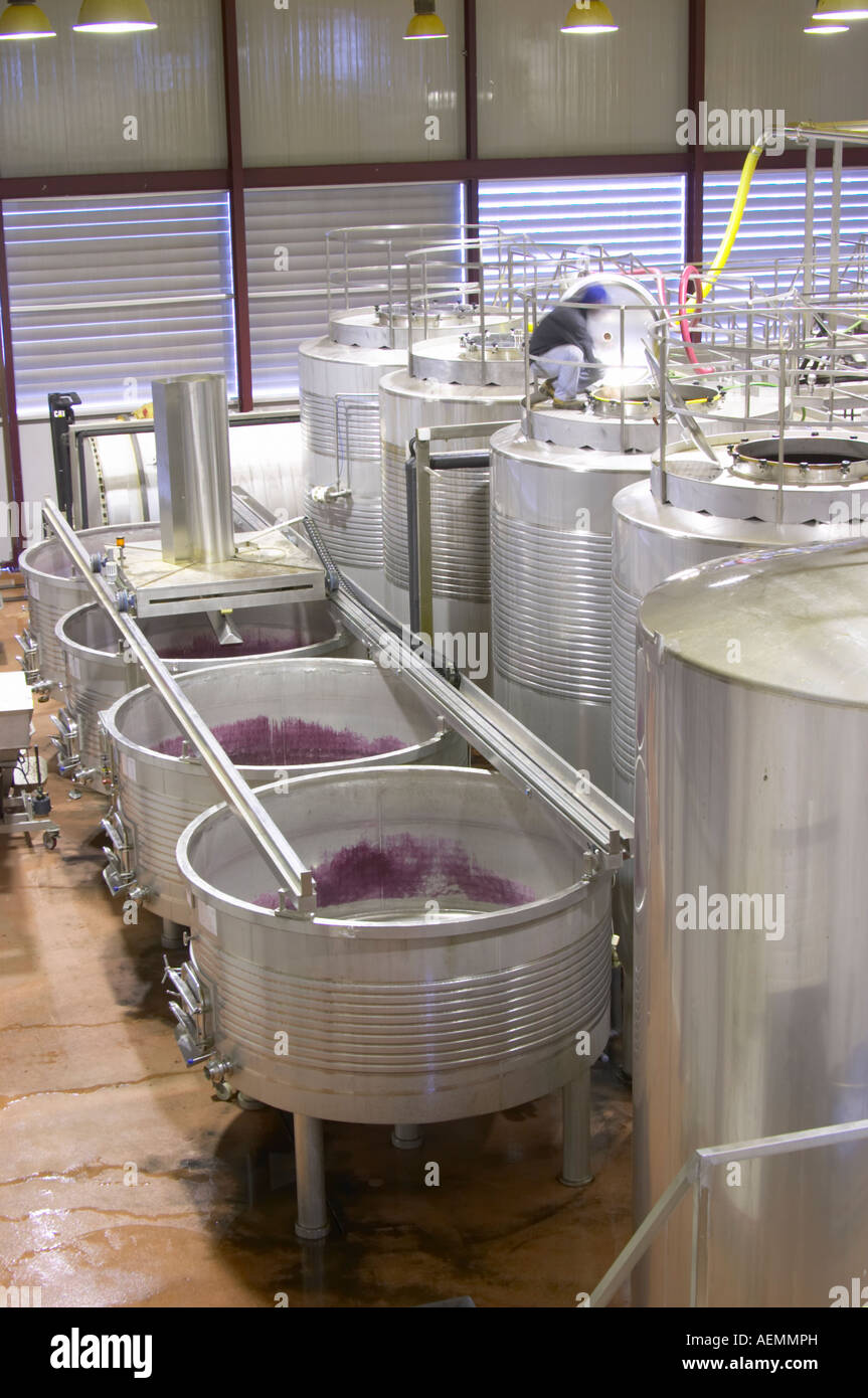 Fermentation tanks. Lagares, Portuguese low and wide maceration vats