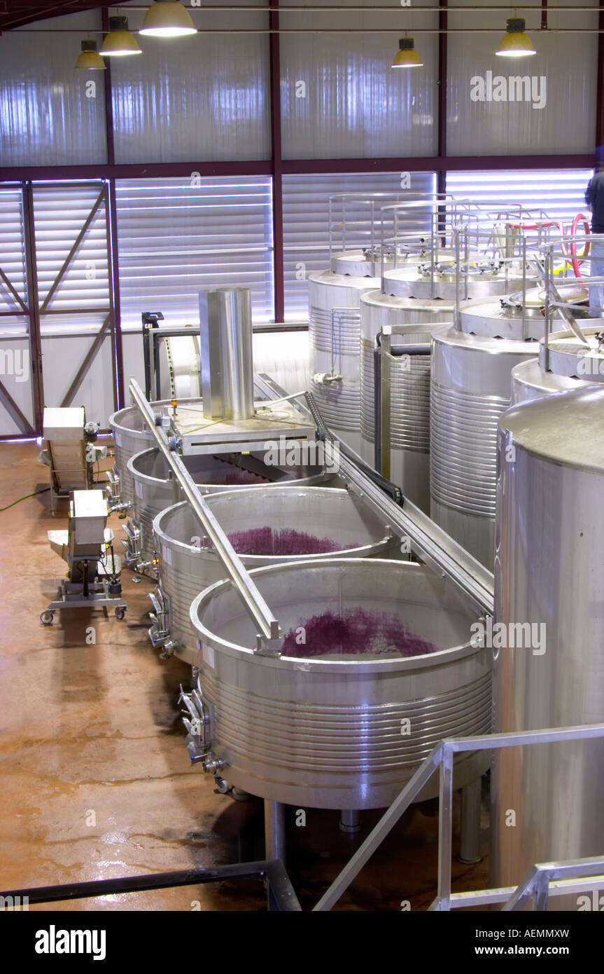 Fermentation tanks. Lagares, Portuguese low and wide maceration vats. Herdade das Servas