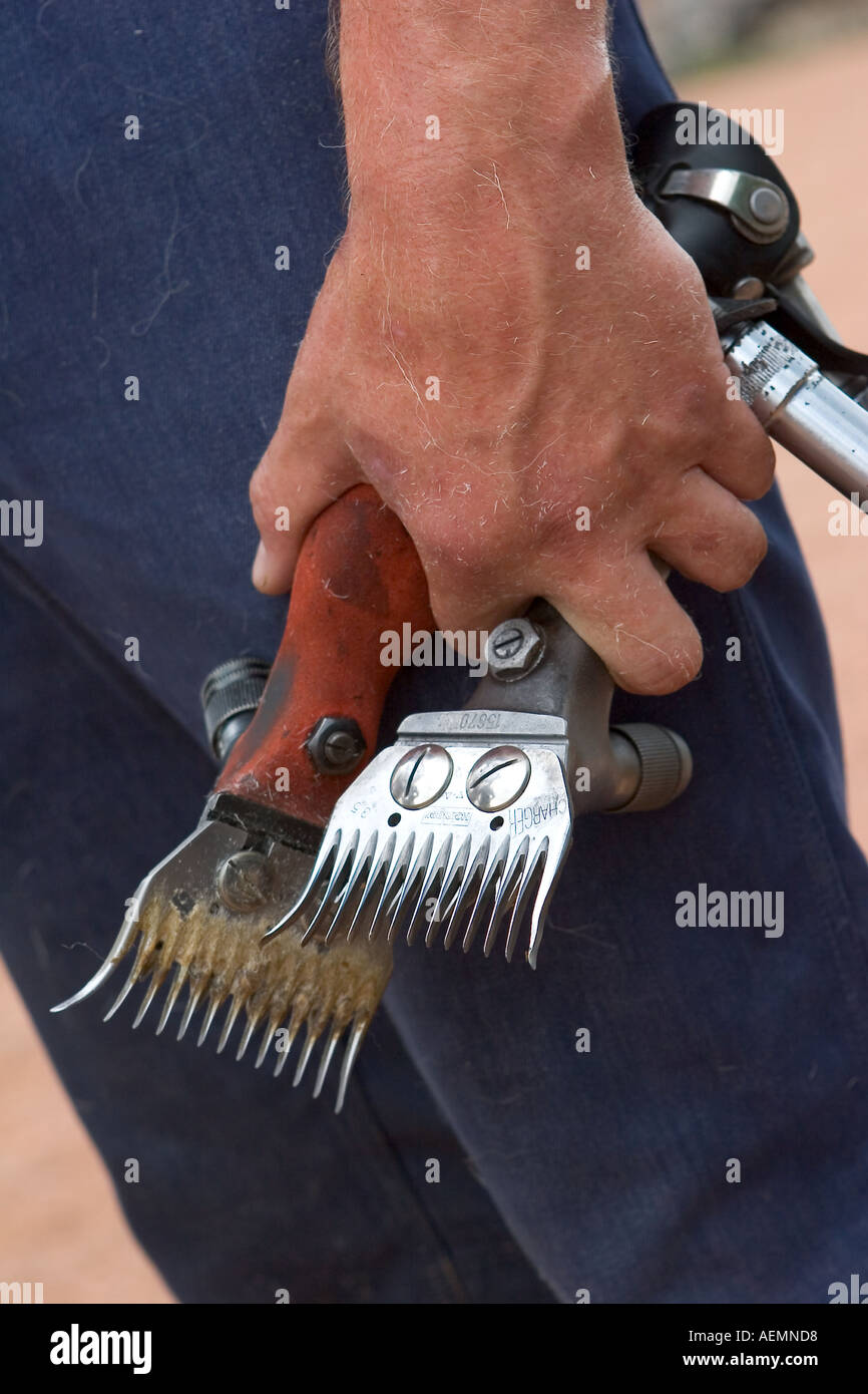 Sheep shearing tools Combs, clippers and Cutters used by livestock