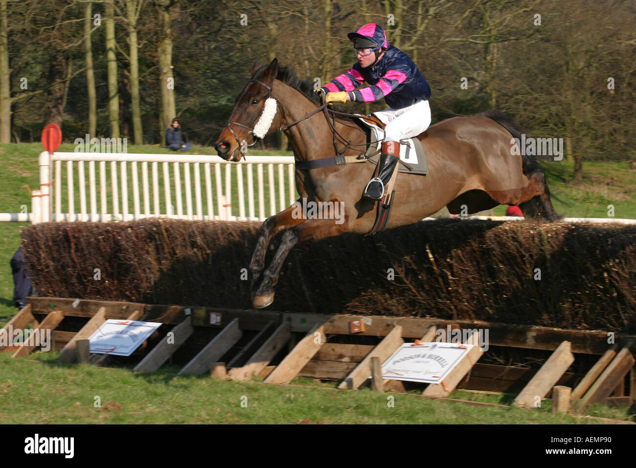 Point To Point Racing Point to point pony racing hi-res stock photography and images - Alamy