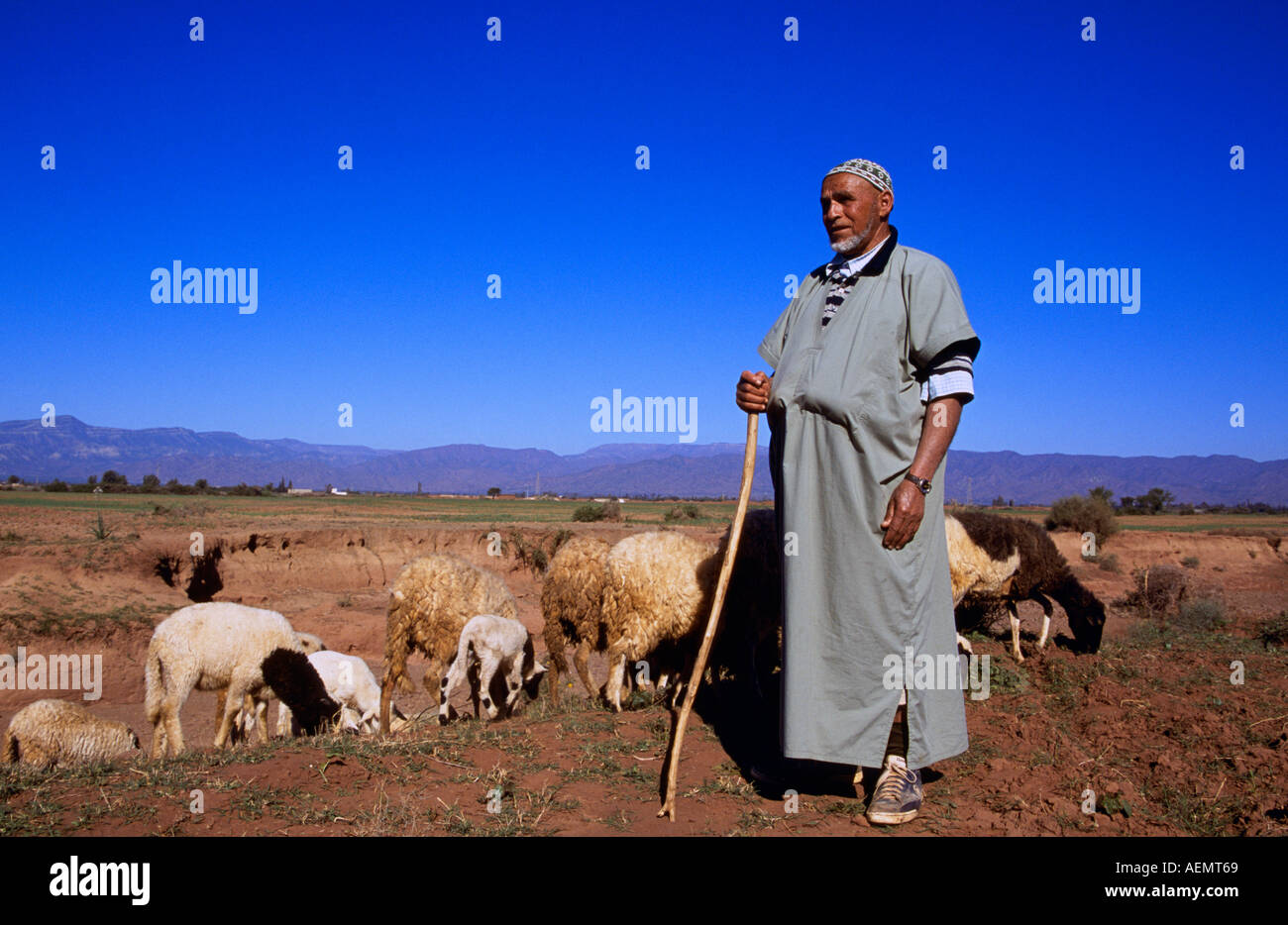 berber shepherd in traditional clothing south west morocco africa Stock  Photo - Alamy