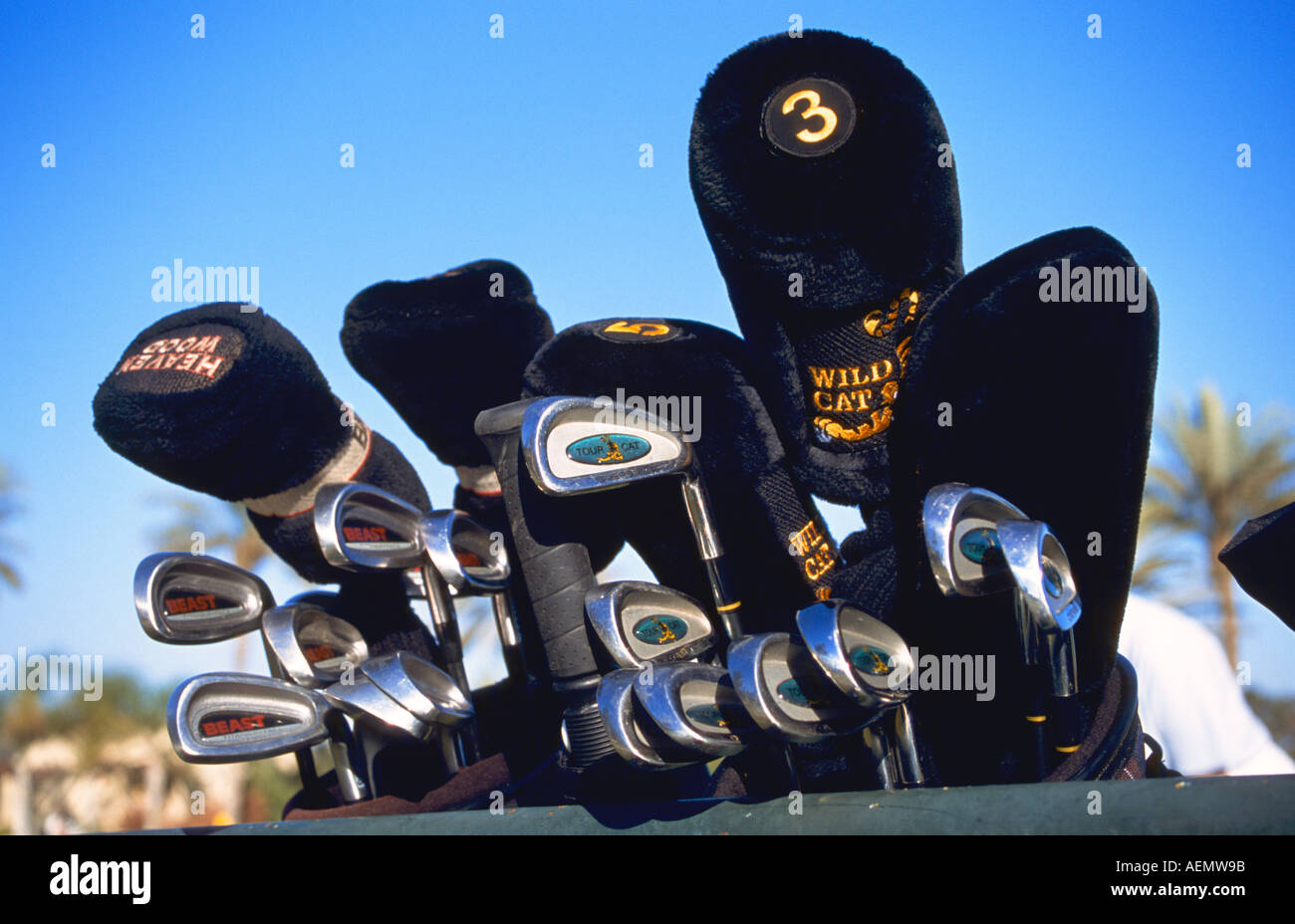 golf rackets in a golf club morocco africa Stock Photo - Alamy