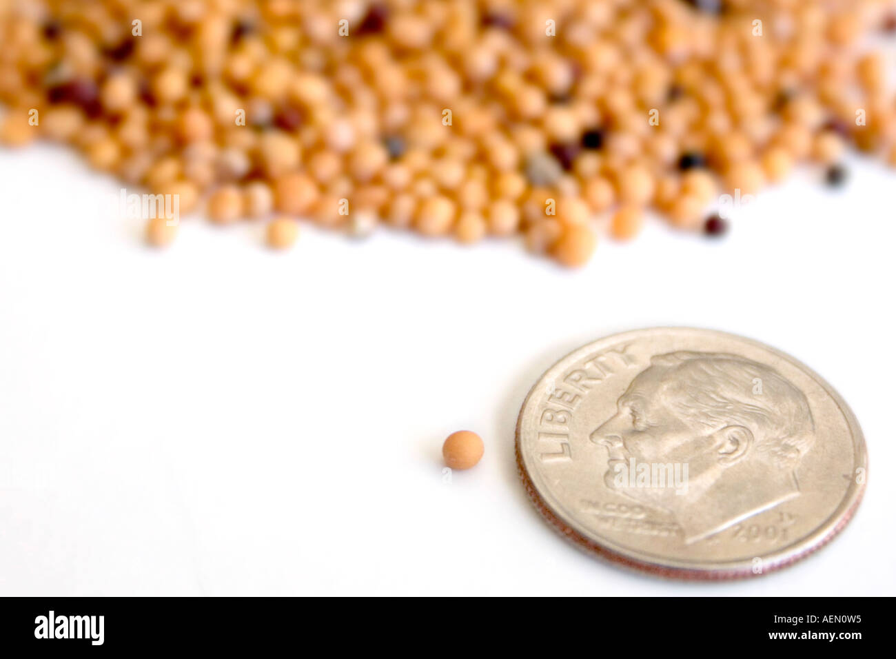 Size of a dime hires stock photography and images Alamy