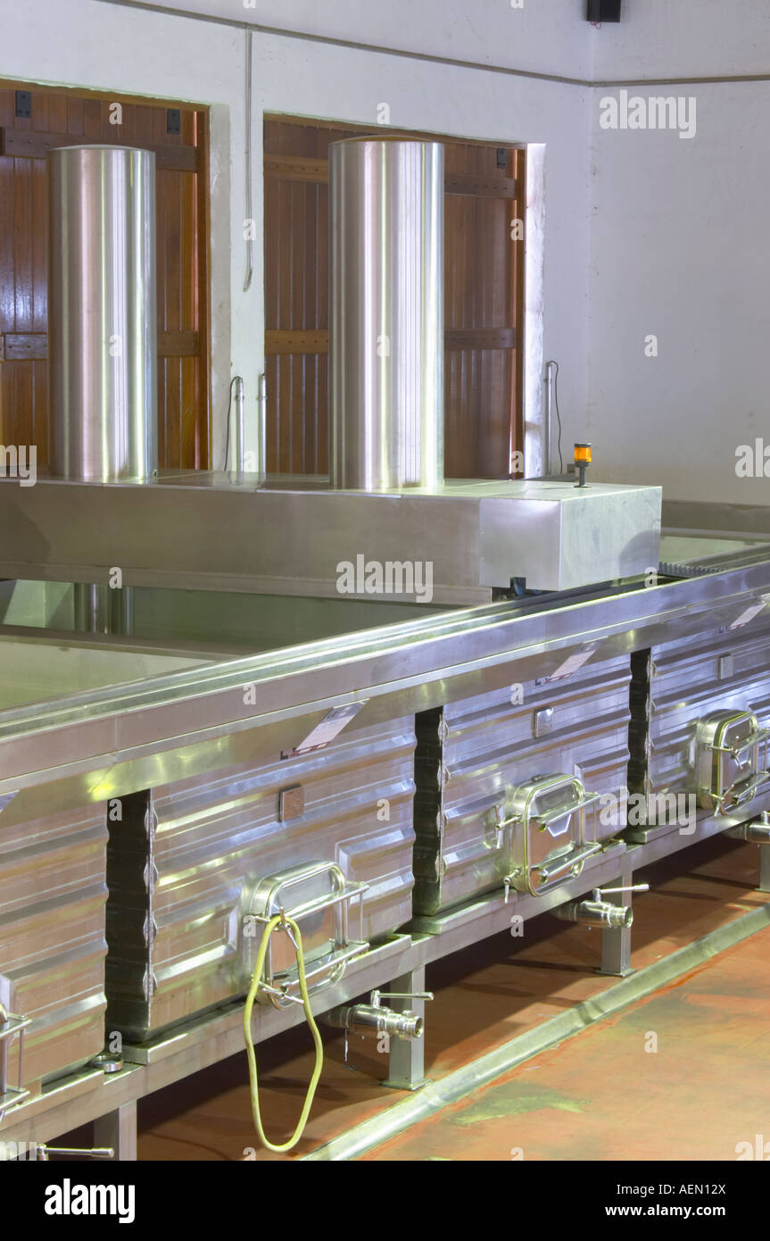 Wide and low maceration tanks, lagares, with mechanical punching down