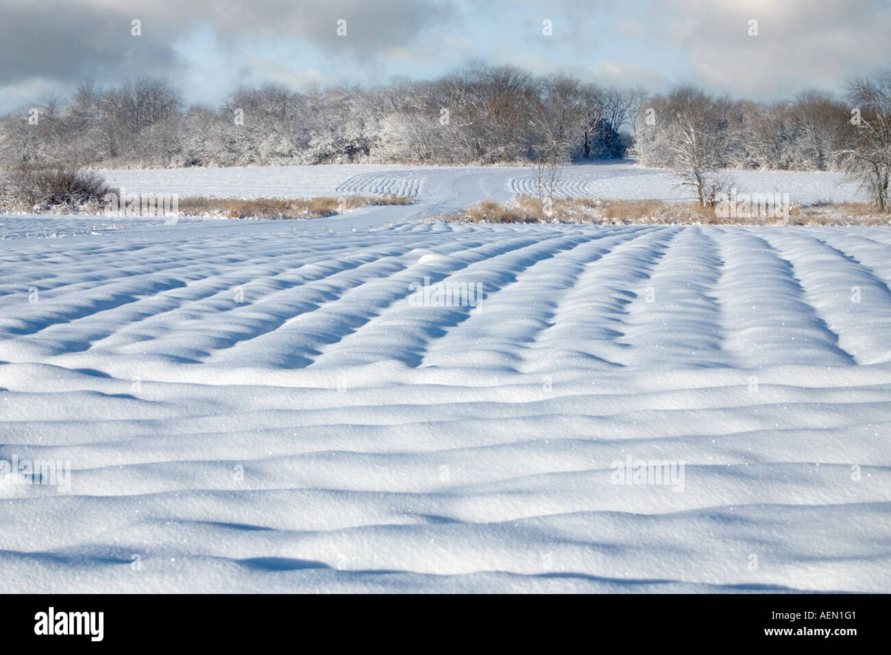 Snow in wisconsin hi-res stock photography and images - Alamy